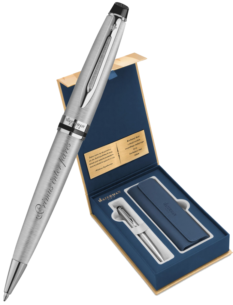S0952100Gifts Waterman Expert Подарочный набор:Чехол и Шариковая ручка   Essential, St. Steel CT